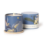 Citrus Crush Demi Vanity Tin Scented Candle