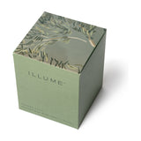 Hinoki Sage Boxed Glass Scented Candle