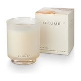 Driftwood Boxed Glass Scented Candle