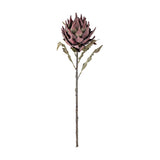 Protea Artificial Stem 76cm in purple, showing a layered, pointed petal flower head atop a textured stem with slender leaves, set against a plain white background.