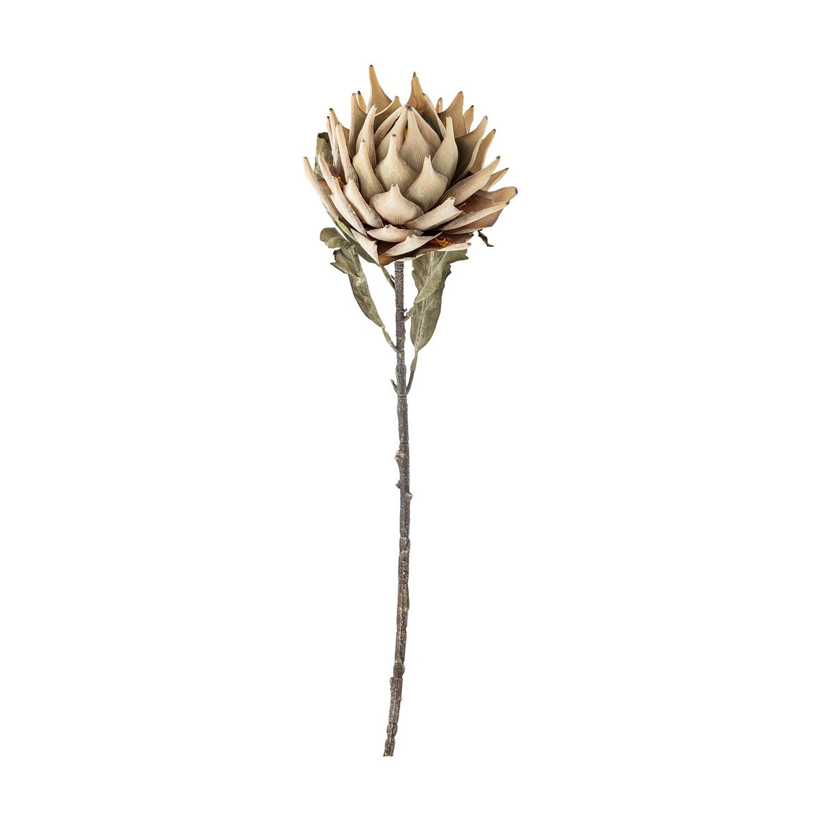Artificial protea stem in beige with a large layered, pointed-petal flowerhead, broad leaves along a twig-like stem, shown on a plain white background.