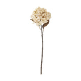 Artificial hydrangea stem in beige with a full, rounded mophead bloom, twin leaves beneath, and a knotted woody-look stem, shown against a plain white background.