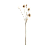 Poppy Artificial Stem in beige, 104cm tall with wavy branches bearing open flowers, closed buds, and small leaves, shown on a plain white background.