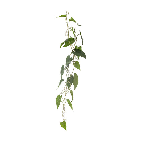 Anthurium Artificial Plant in green, a trailing stem with heart-shaped leaves and curling aerial roots along a winding vine, shown on a plain white background.