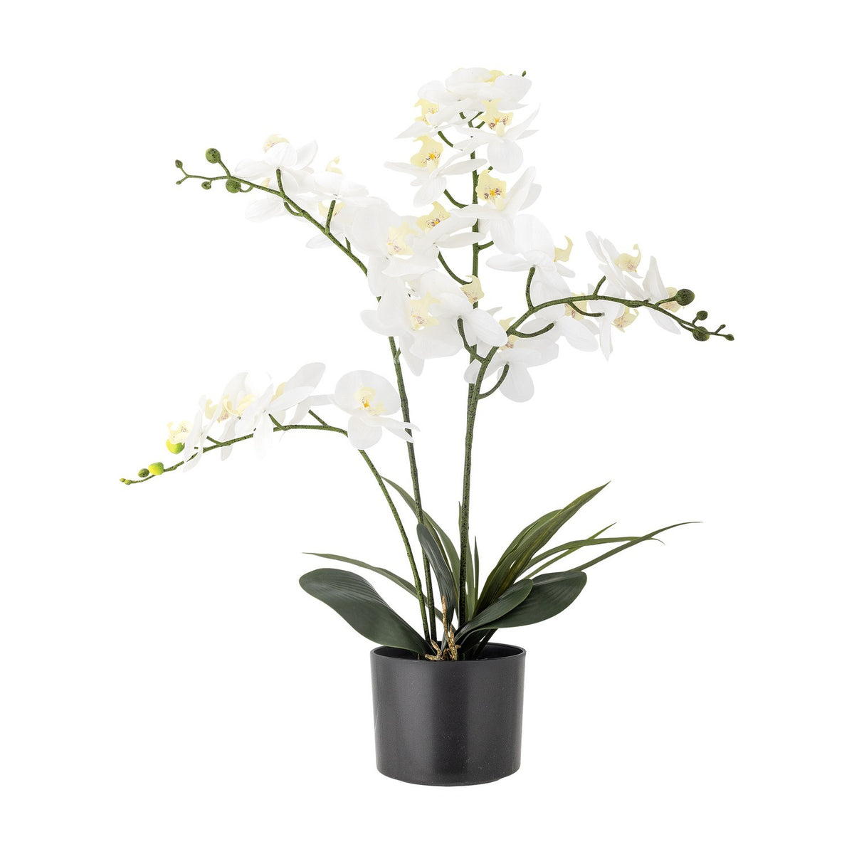 Artificial orchid plant with arching stems of white flowers above broad green leaves, set in a plain black pot against a white background.