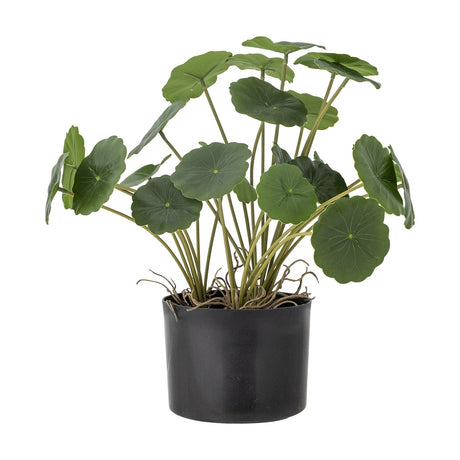 Copper Round Artificial Plant in a black pot, featuring round green leaves on slim stems with visible trailing roots, set against a plain white background.