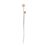 Phlox Artificial Stem in cream, a single faux flower spray with one larger and one smaller round fluffy bloom on a slender branching green stem, set against a plain white background.