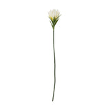 Lily Artificial Stem in White, a single faux flower with curled pointed petals forming a cupped head, slim leaves beneath, and a long slender green stem, shown on a plain white background.
