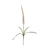Artificial Foxtail Stem 73cm in pink, featuring a tapered flower spike and slender arching leaves on a single stem, shown on a plain white background.