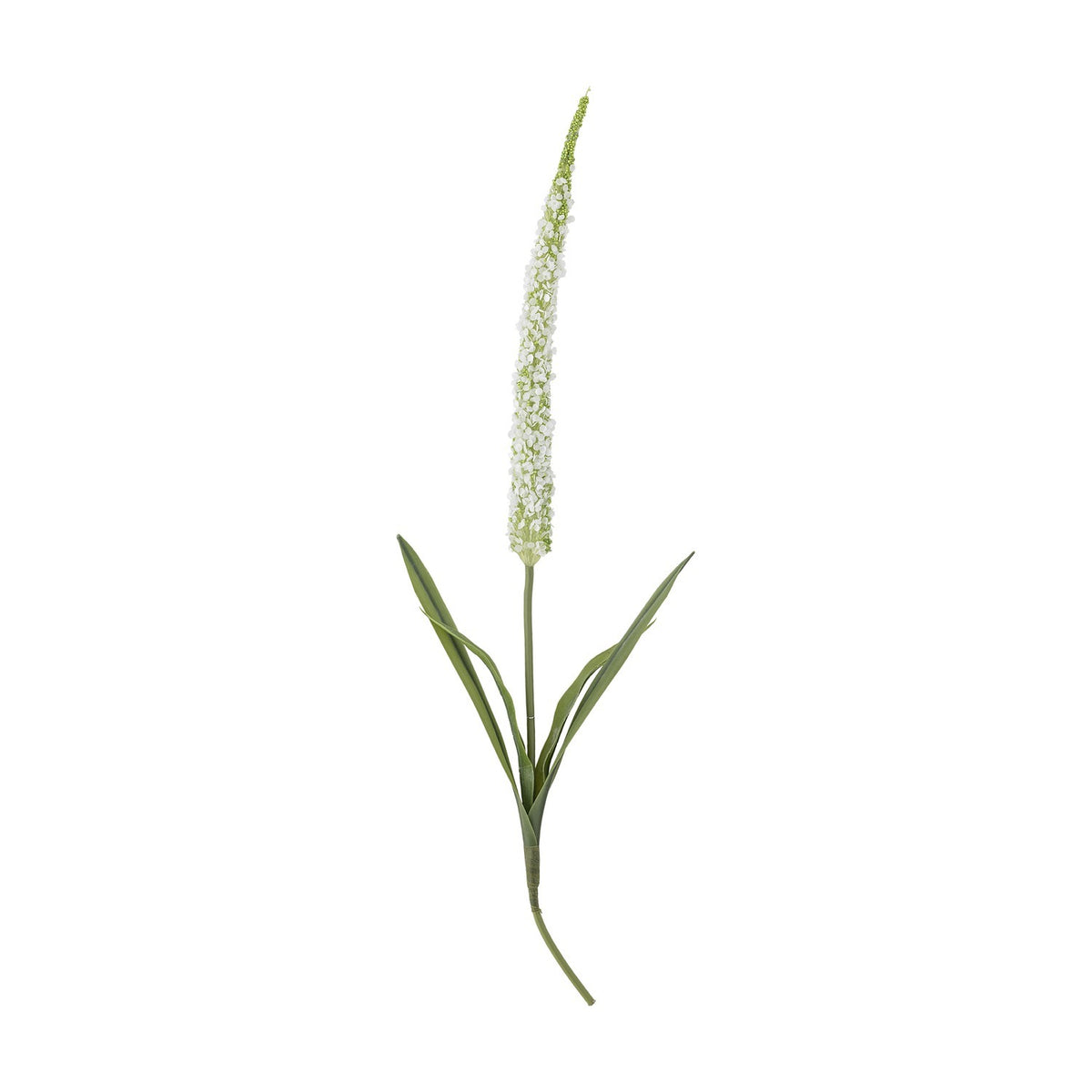 Artificial foxtail stem with a tall tapering spike of tiny white florets, slim green stem, and narrow leaves fanning near the base, on a plain white background.