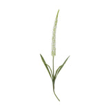 Artificial foxtail stem with a tall tapering spike of tiny white florets, slim green stem, and narrow leaves fanning near the base, on a plain white background.