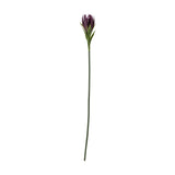 Lily Artificial Stem - Purple
