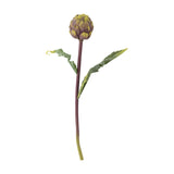 Protea Artificial Stem 54cm in purple, a faux plant with a layered bract flower head and two deeply cut leaves on a slim stem, shown against a plain white background.