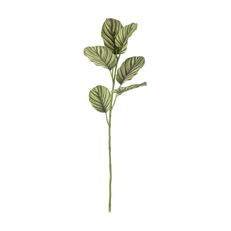 Zebra Artificial Stem in green, a tall faux plant with broad rounded leaves showing striped veining on a slender stem, set against a plain white background.