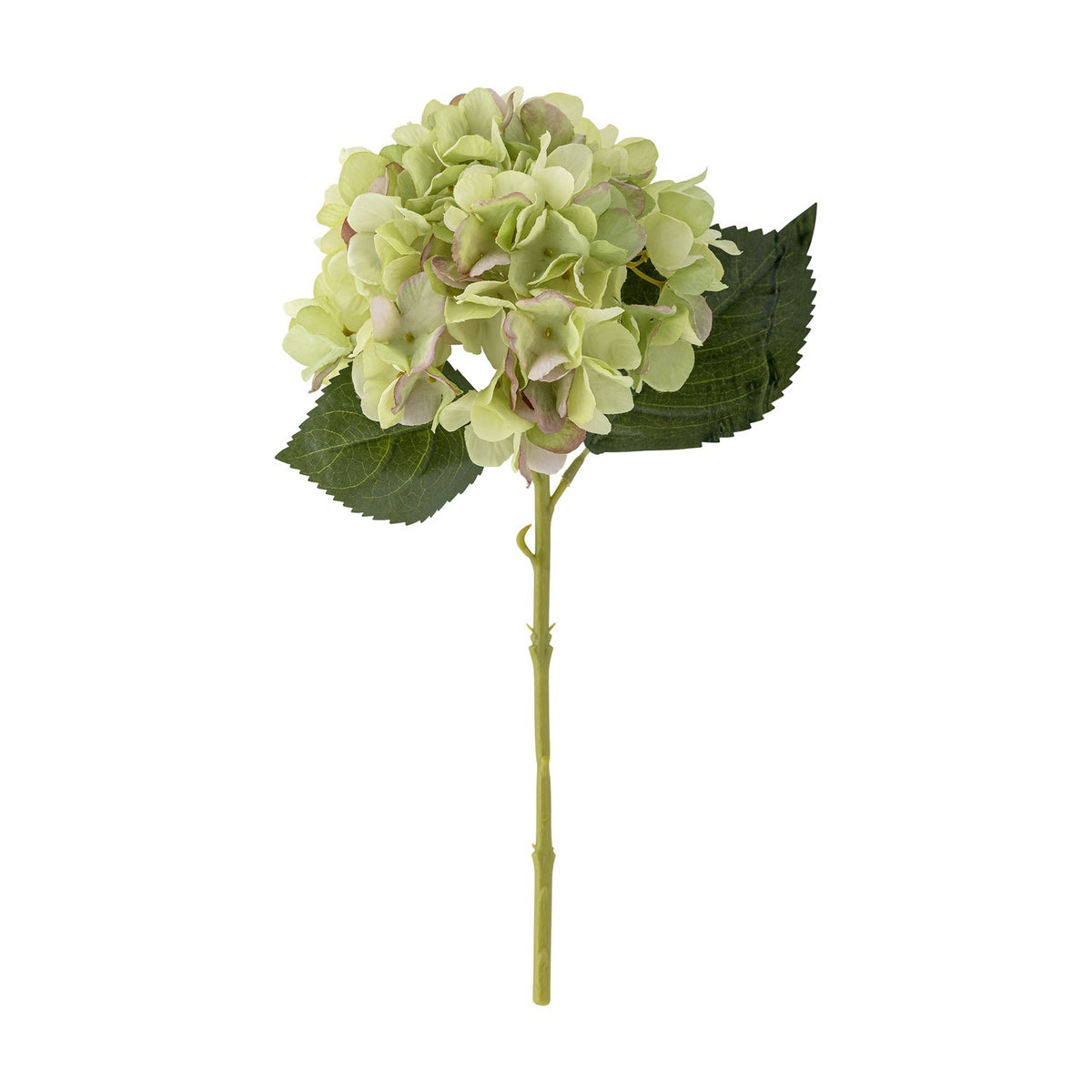 Artificial hydrangea stem, 36cm, with a rounded green flowerhead, ruffled petals and two broad leaves on a slim jointed stem, shown against a plain white background.