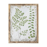 Tipper Wooden Framed Print in green, botanical fern illustration with vintage-style captions on an aged speckled background, set in a weathered wooden frame.