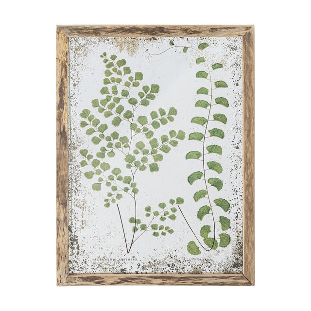 Tipper Wooden Framed Print in green, botanical fern illustration with vintage-style captions on an aged speckled background, set in a weathered wooden frame.