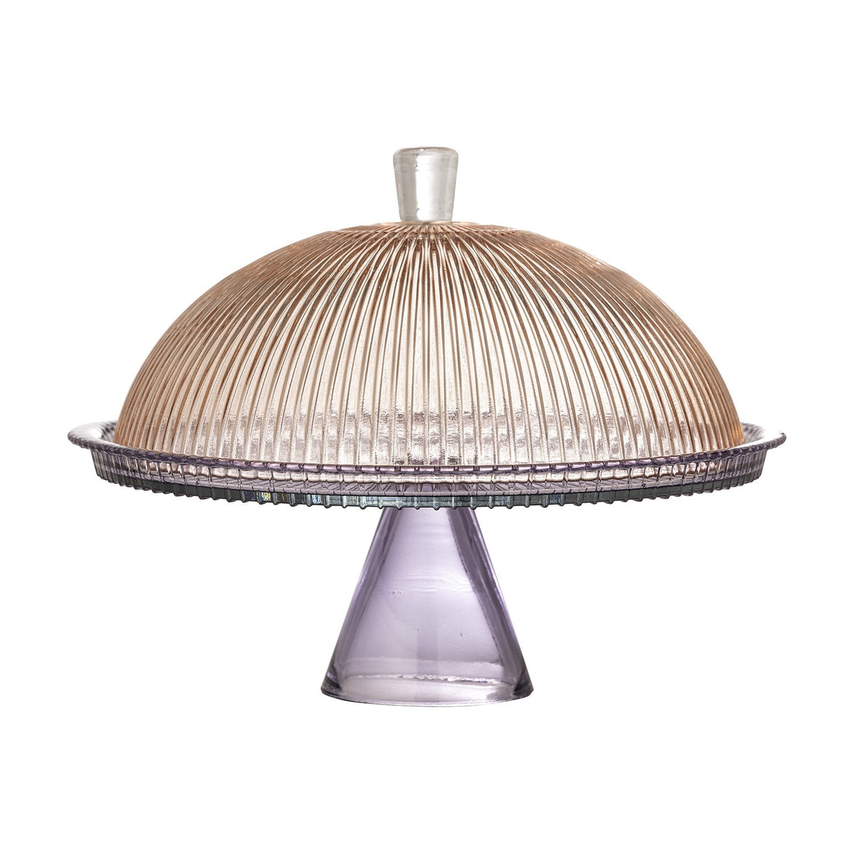 Tayo Round Glass Cake Stand with Lid - Multi