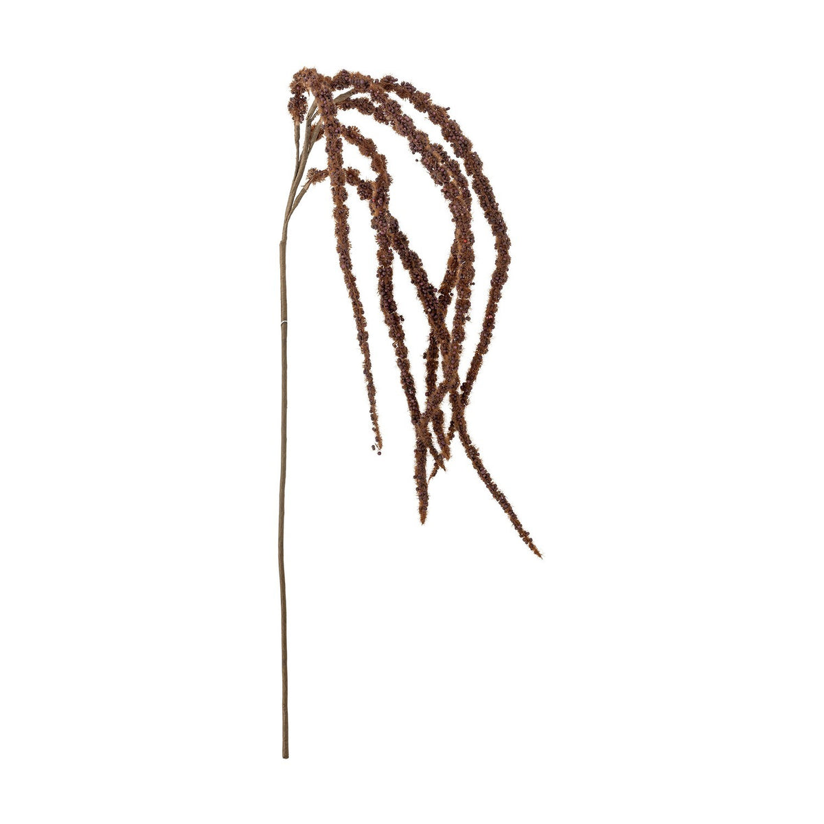 Foxtail Artificial Stem in brown, a single plain stem branching into several fine, beaded tassels that arch and trail downward, shown against a plain white background.