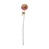 Artificial chrysanthemum stem, 73cm, with a full rounded pink flower head, small leaves on a slender nodded stem, set against a plain white background.