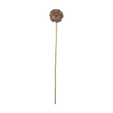 Allium Round Artificial Stem - Brown