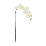 Orchid Artificial Stem 94cm - White