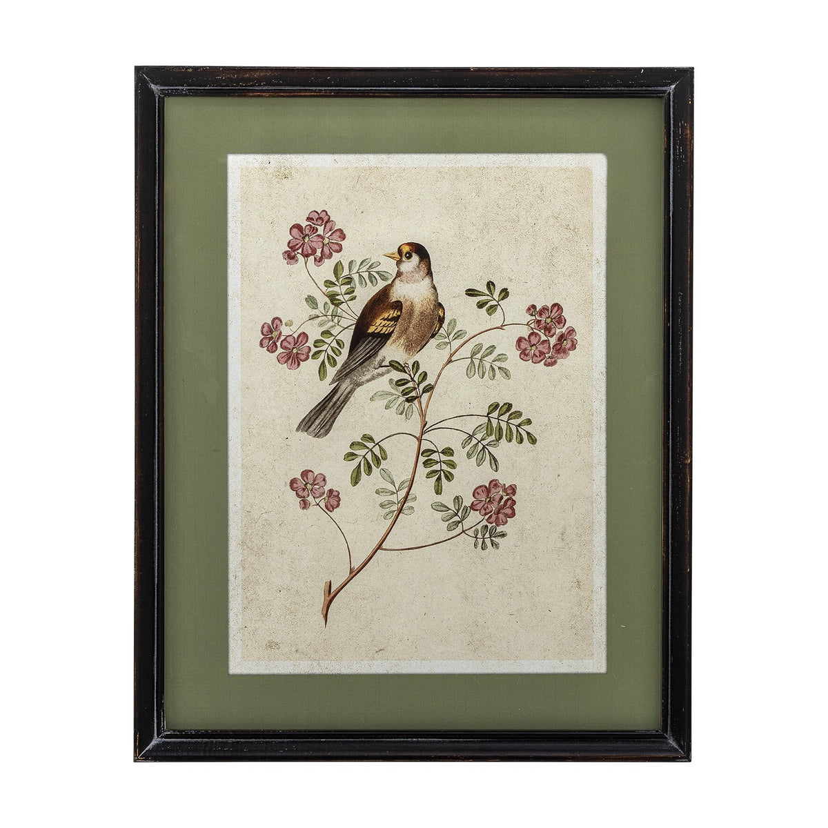 Renji Wooden Framed Print 50cm showing a songbird on a flowering branch, aged-style illustration with sage green mount in a slim black firwood frame.