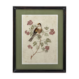 Renji Wooden Framed Print 50cm showing a songbird on a flowering branch, aged-style illustration with sage green mount in a slim black firwood frame.