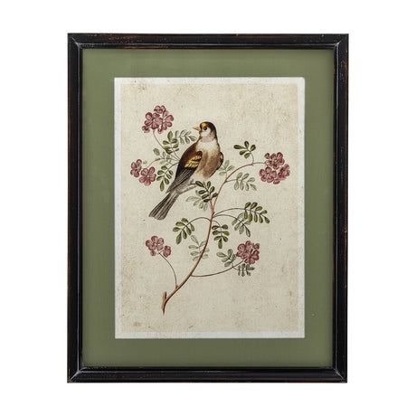 Renji Wooden Framed Print 50cm showing a songbird on a flowering branch, aged-style illustration with sage green mount in a slim black firwood frame.