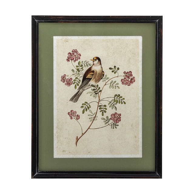 Renji Wooden Framed Print 50cm showing a songbird on a flowering branch, aged-style illustration with sage green mount in a slim black firwood frame.