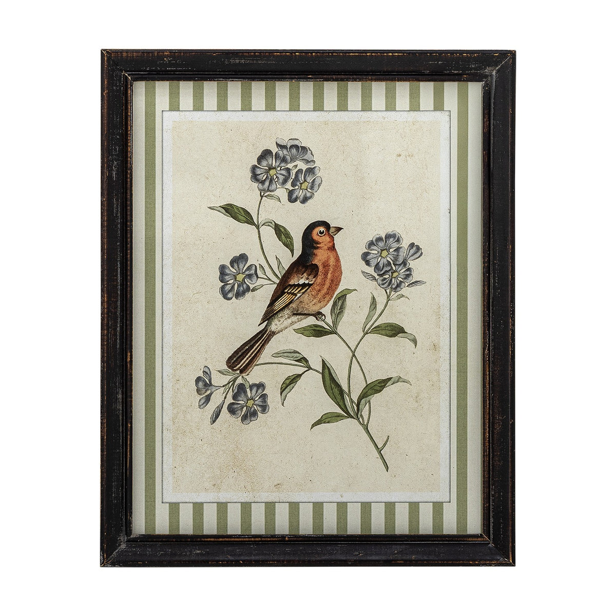 Renji Wooden Framed Print 35.5cm in Multi, showing a songbird on a flowering branch in a distressed black firwood frame with green striped matting, on a plain white background.