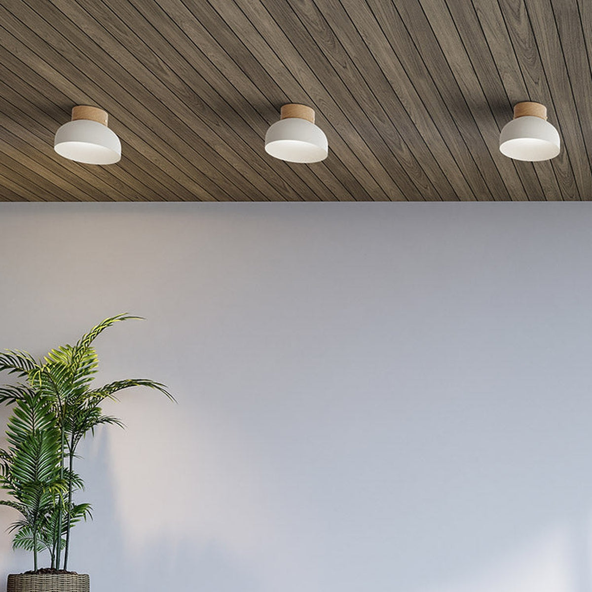 Three Reiko dome flush ceiling lights with matt white aluminium shades and natural ash wood bases, mounted on a wood-panelled ceiling above a plain grey wall.