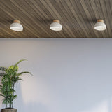 Three Reiko dome flush ceiling lights with matt white aluminium shades and natural ash wood bases, mounted on a wood-panelled ceiling above a plain grey wall.