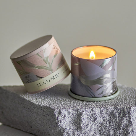Coconut Milk Mango Demi Vanity Tin Scented Candle
