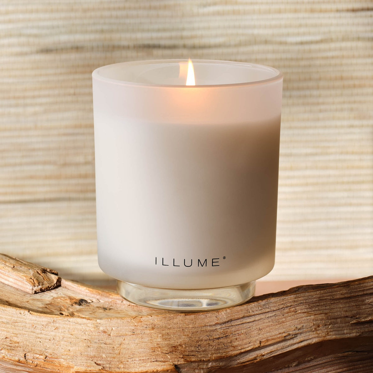 Driftwood Boxed Glass Scented Candle