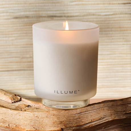 Driftwood Boxed Glass Scented Candle