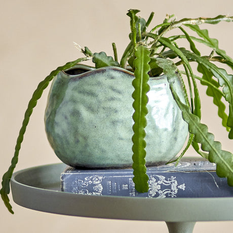 Pennie Stoneware Plant Pot in Green, a rounded ceramic planter with dimpled surface and wavy rim, shown holding a trailing green cactus plant on a grey table.