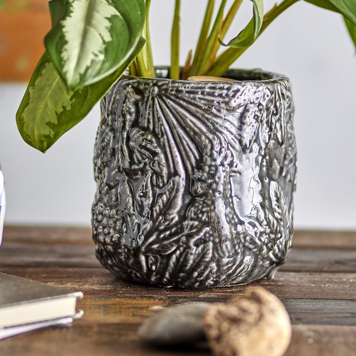 Nikou Terracotta Plant Pot in black, round with a glossy raised botanical leaf relief, holding a green leafy plant on a wooden surface.