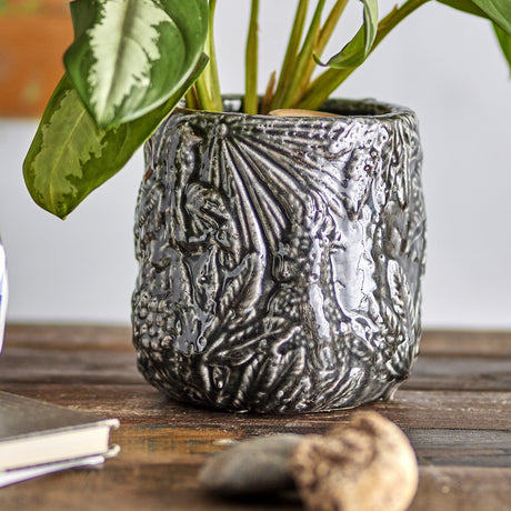 Nikou Terracotta Plant Pot in black, round with a glossy raised botanical leaf relief, holding a green leafy plant on a wooden surface.