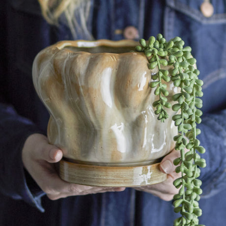 Hollis wavy stoneware plant pot in glossy beige with ridged, lobed sides and matching saucer, held by hand with a trailing string-of-pearls succulent.