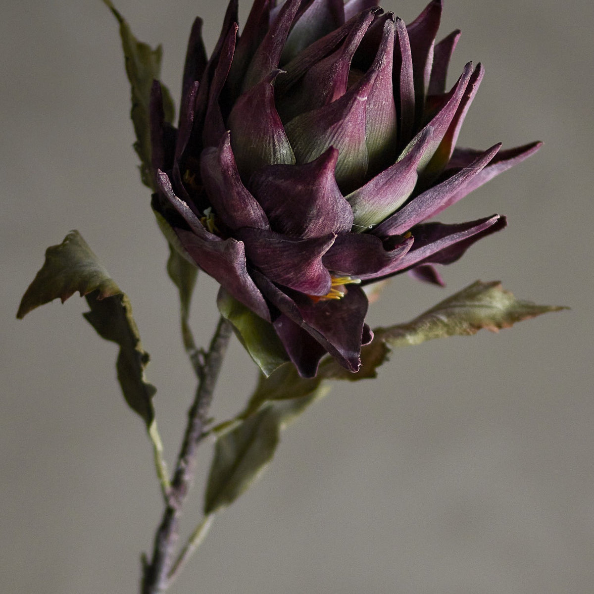 Artificial protea stem in purple, 76cm tall, showing a dense layered flower head with pointed petals on a slender stem with wavy-edged leaves, set against a neutral background.