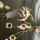 Protea Artificial Stem in beige, held in hand with its layered petal flowerhead and green leaves, shown alongside other faux floral stems against a neutral background.