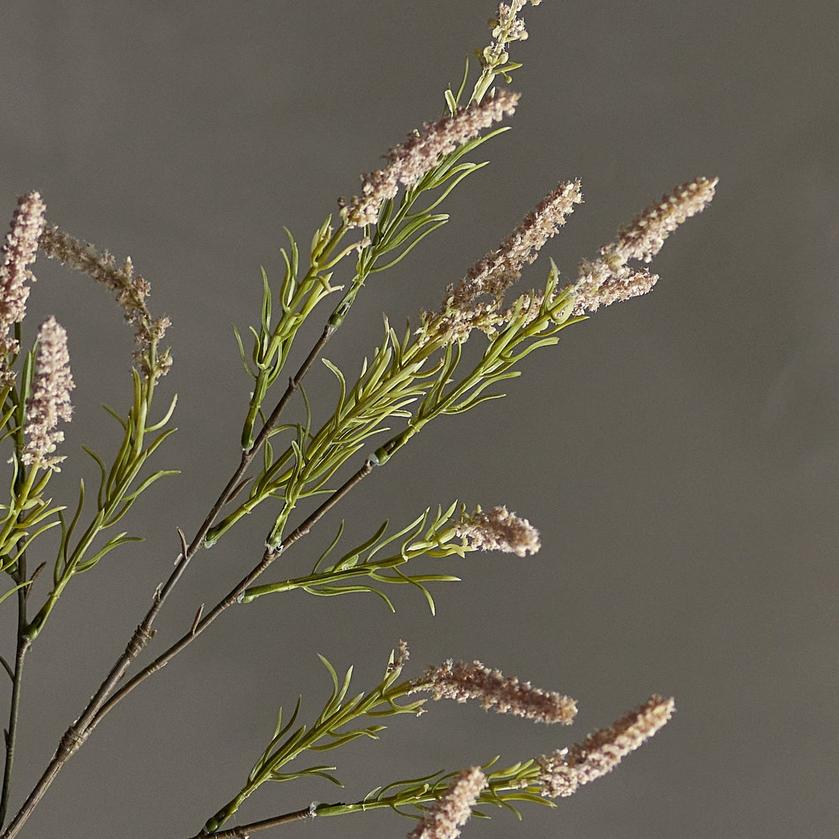 Foxtail Artificial Stem 76cm in pink, showing branching sprays with needle-like leaves and textured bristly flower spikes, set against a plain grey background.
