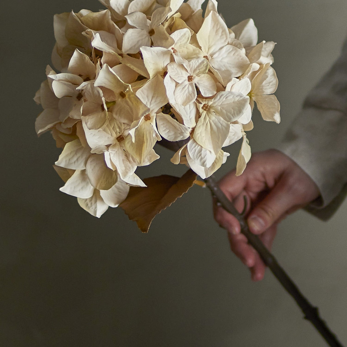 Hand holding the Hydrangea Artificial Stem in beige, showing the full mophead bloom with small florets and a woody-look stem against a neutral background.