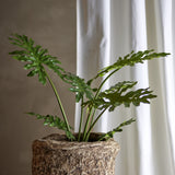 Philodendron Artificial Plant in Green, showing deeply cut leaves on upright stems in a textured stone-effect pot, set against a white curtain backdrop.