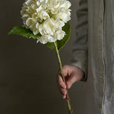Hydrangea Artificial Stem in Cream held by hand, showing a rounded cream floret head, broad green leaves, and a knotted stem against a plain dark background.