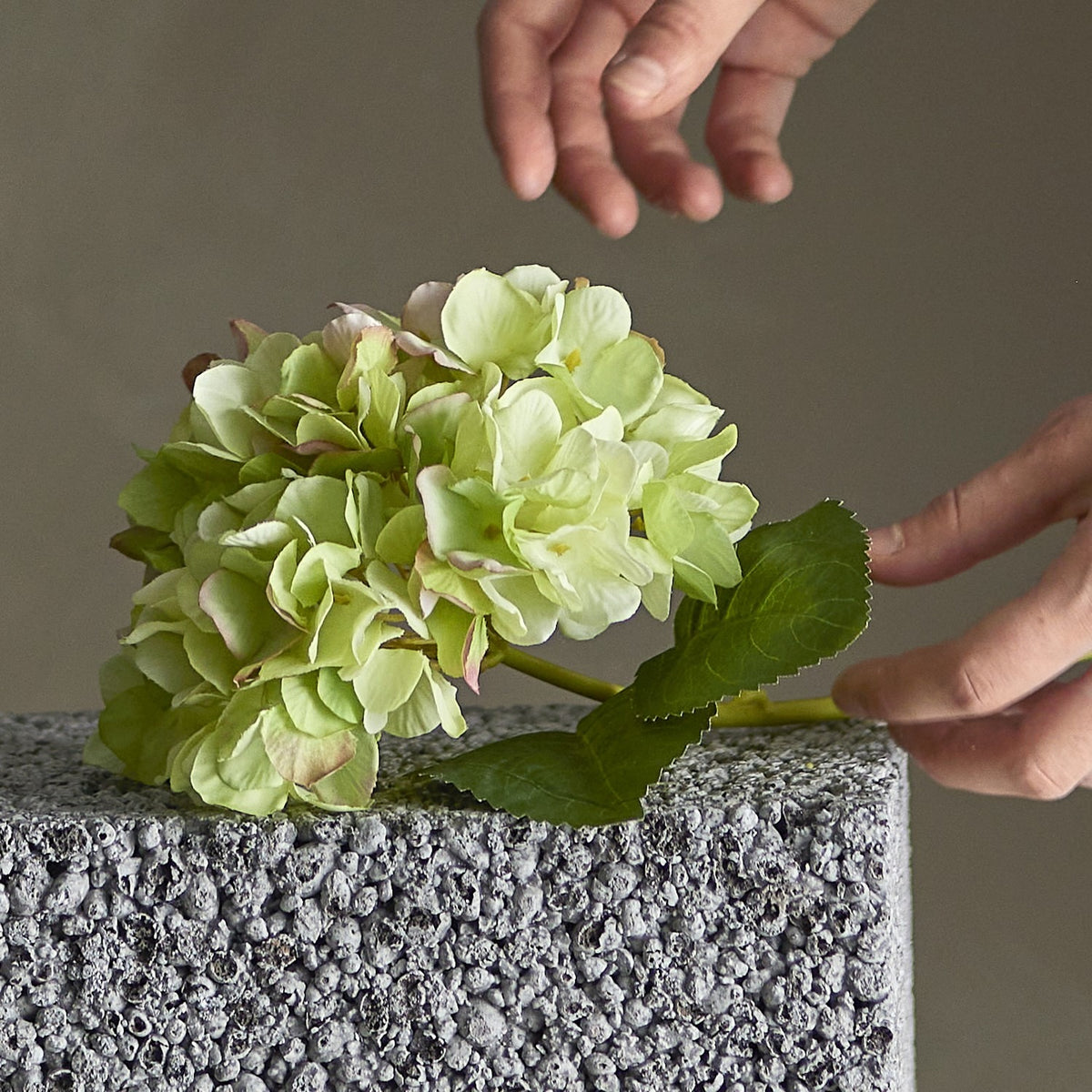 Hydrangea Artificial Stem 36cm in green, shown with a full rounded flowerhead and broad leaves on a slim stem, held by hand above a textured stone block.