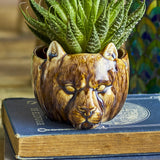 Abner Stoneware Plant Pot in Brown, a small ceramic planter moulded as a big cat's face with pointed ears and relief features, holding a succulent on a stacked books display.