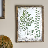 Tipper Wooden Framed Print in Green, showing two botanical fern illustrations on a speckled aged background within a weathered wooden frame, hung on a neutral wall.