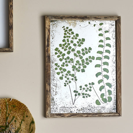 Tipper Wooden Framed Print in Green, showing two botanical fern illustrations on a speckled aged background within a weathered wooden frame, hung on a neutral wall.